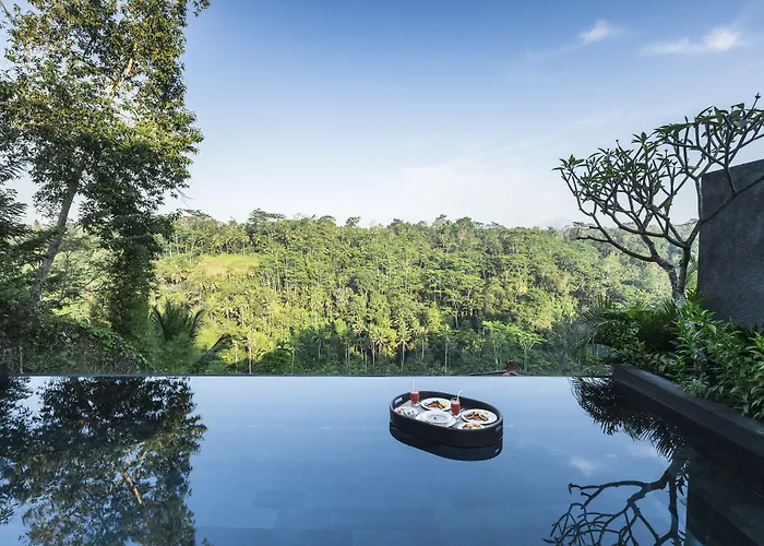 Ayuterra Resort Ubud (Bali)